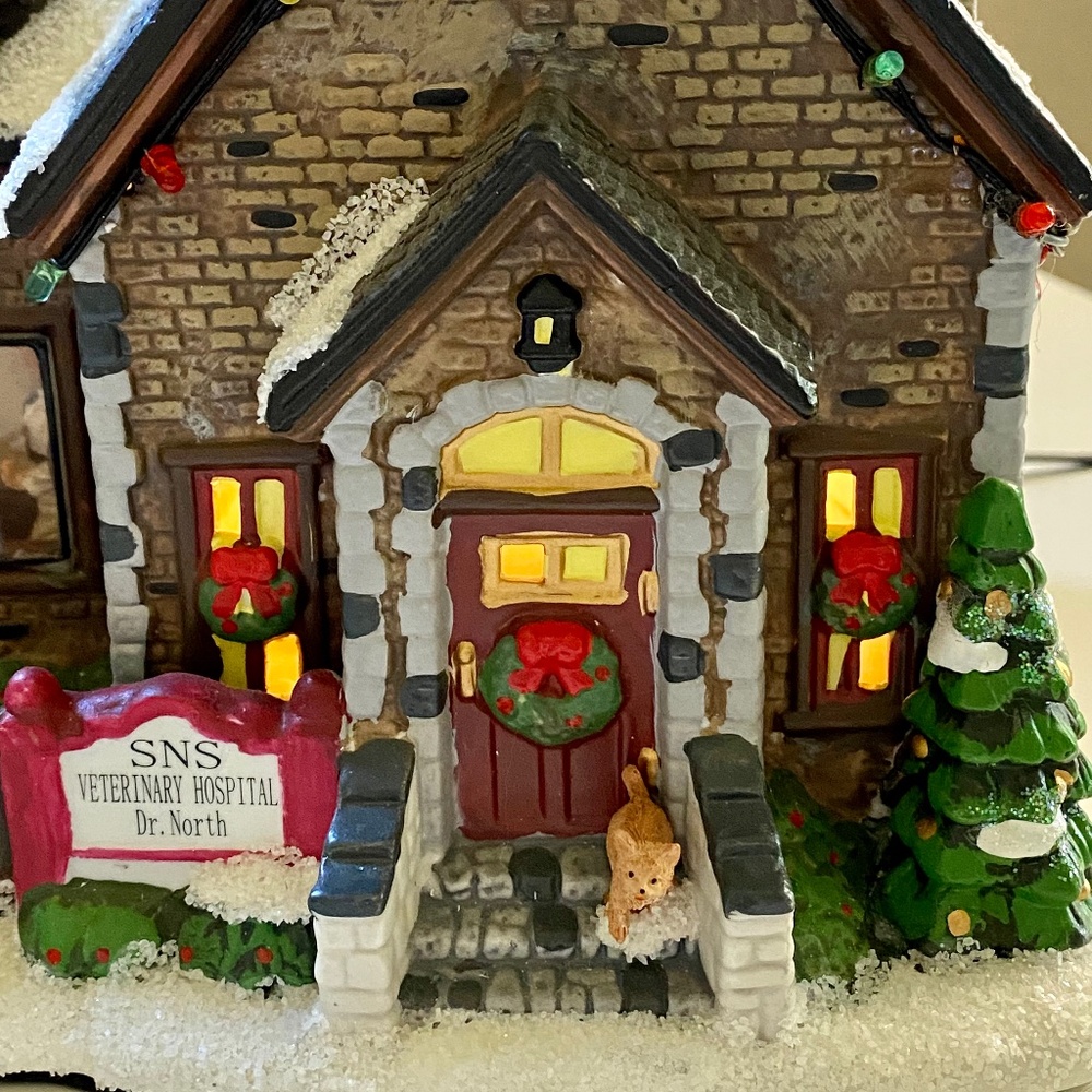 The Village Collection by St Nicholas Square SNS Veterinary Hospital Illuminated